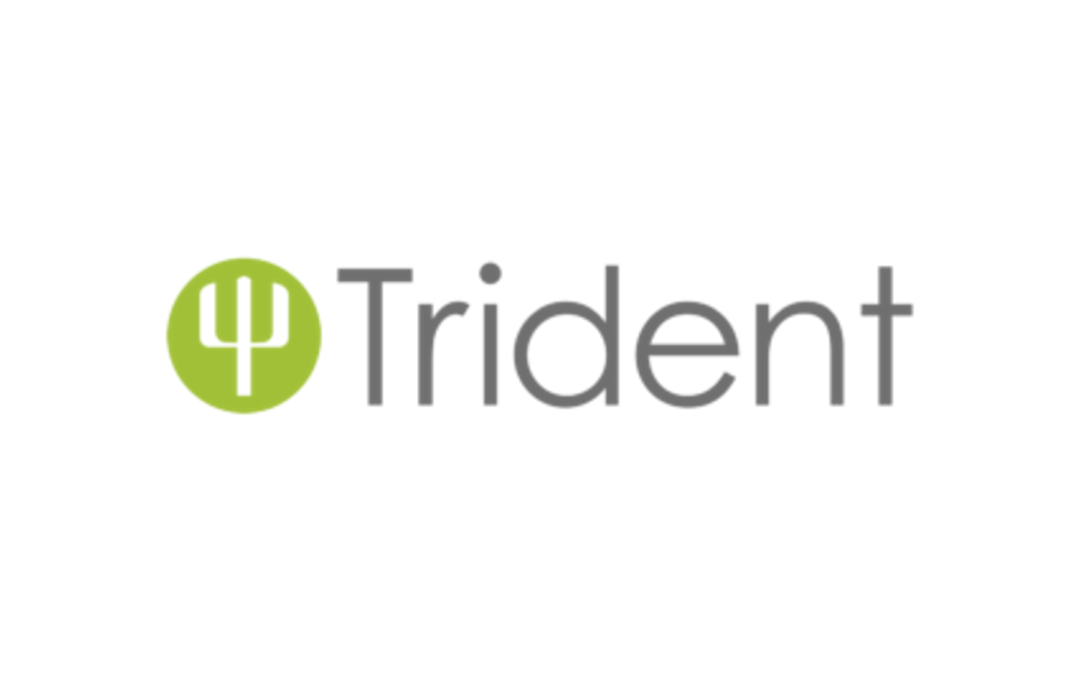 Trident Architectural Glazing