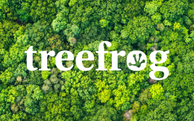 Hethel Member Spotlight with Treefrog